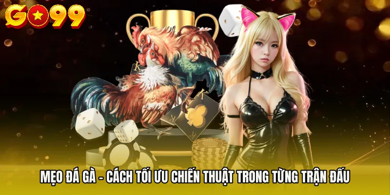 Mẹo Đá Gà - Cách Tối Ưu Chiến Thuật Trong Từng Trận Đấu