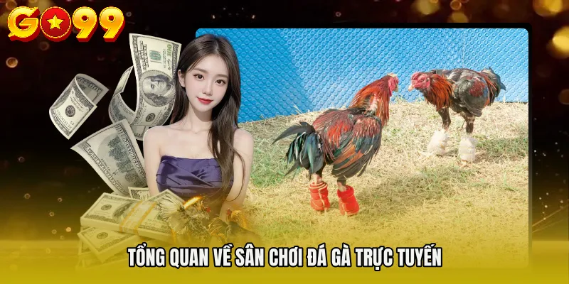 Tổng quan về sân chơi đá gà trực tuyến